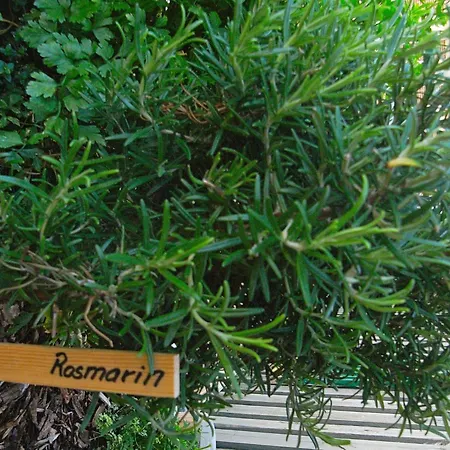 Inviting In Apartment *