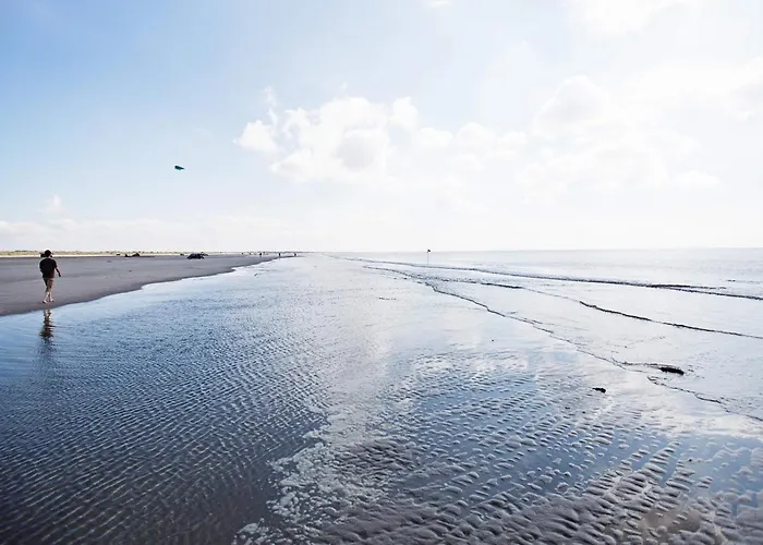 Inviting In Apartment