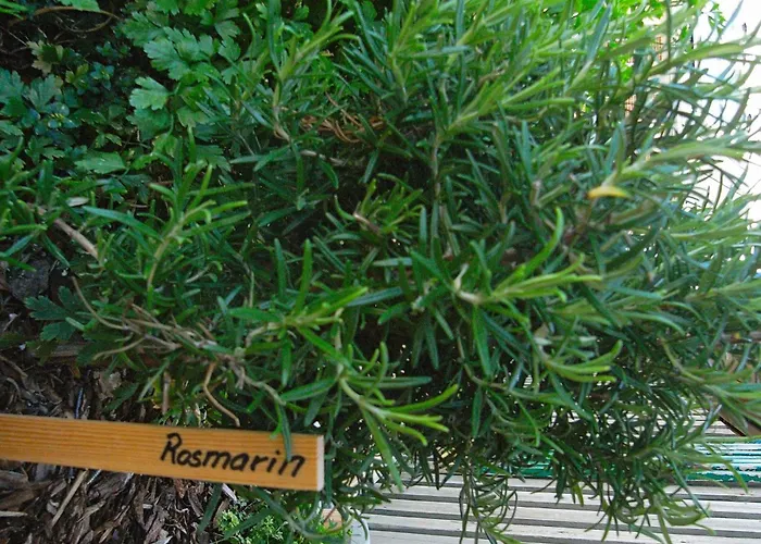 Inviting In Apartment *